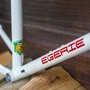 Cadre VTT en acier sur mesure fabriqué en France - hardtail endurigide (...)