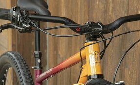 VTT Enduro 160mm boite de vitesse PINION - Courroie, en acier, fabriqué en (…)