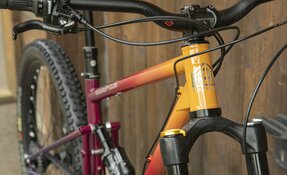 VTT Enduro 160mm boite de vitesse PINION - Courroie, en acier, fabriqué en (…)